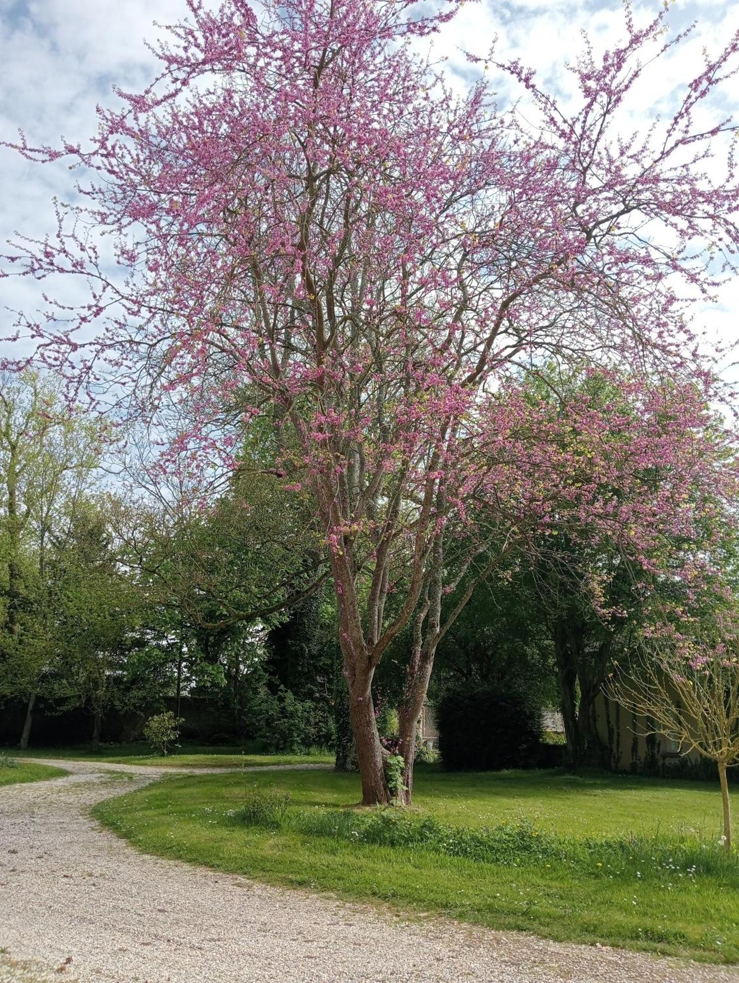 RoselVue D'Oiseau公寓 外观 照片